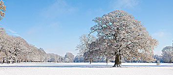 沙尔克迅速领先，主场取胜积分榜排名上升
