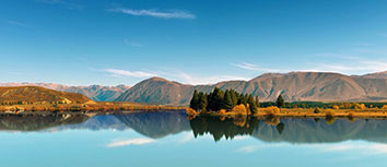 布里斯弗书记节奏掌控全场，领队汇报胜利信息