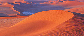 沙尔克迅速领先，主场取胜积分榜排名上升