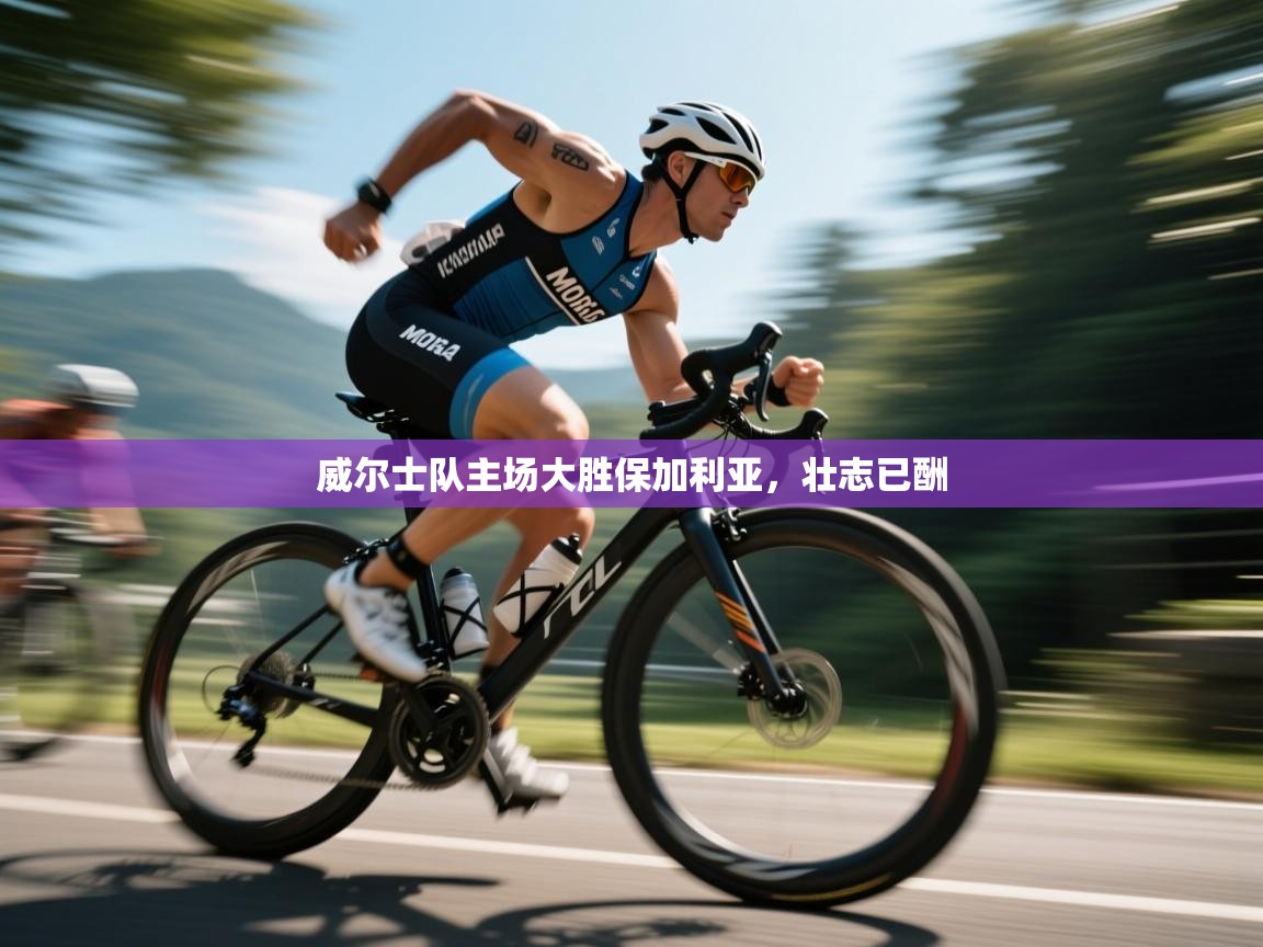 威尔士队主场大胜保加利亚，壮志已酬