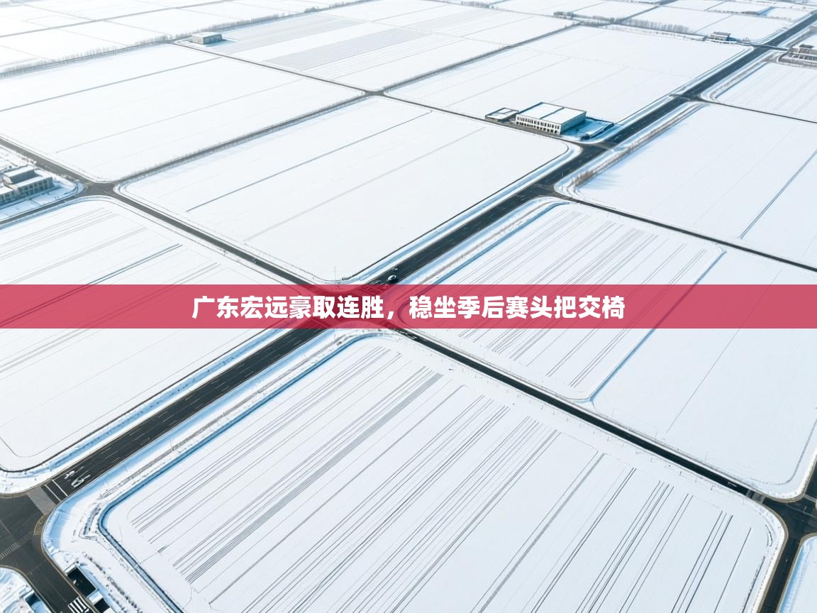 广东宏远豪取连胜，稳坐季后赛头把交椅  第1张