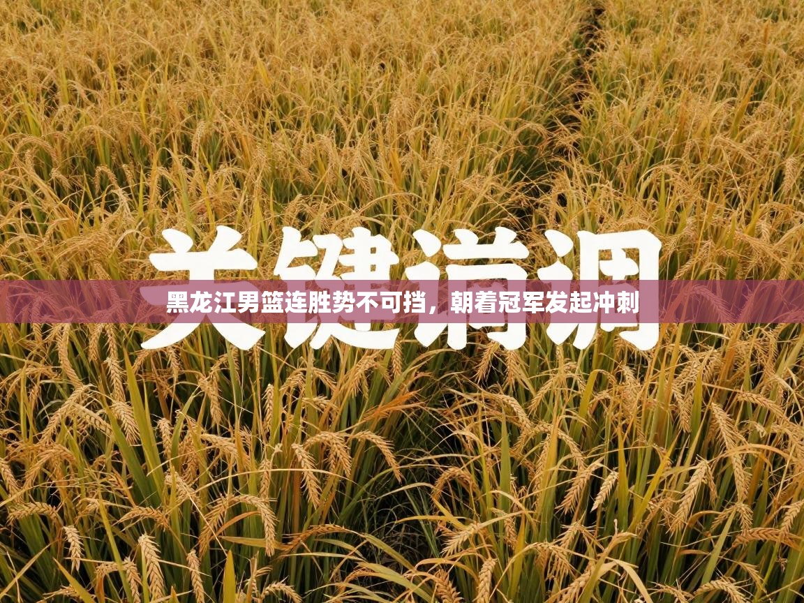 黑龙江男篮连胜势不可挡，朝着冠军发起冲刺  第1张